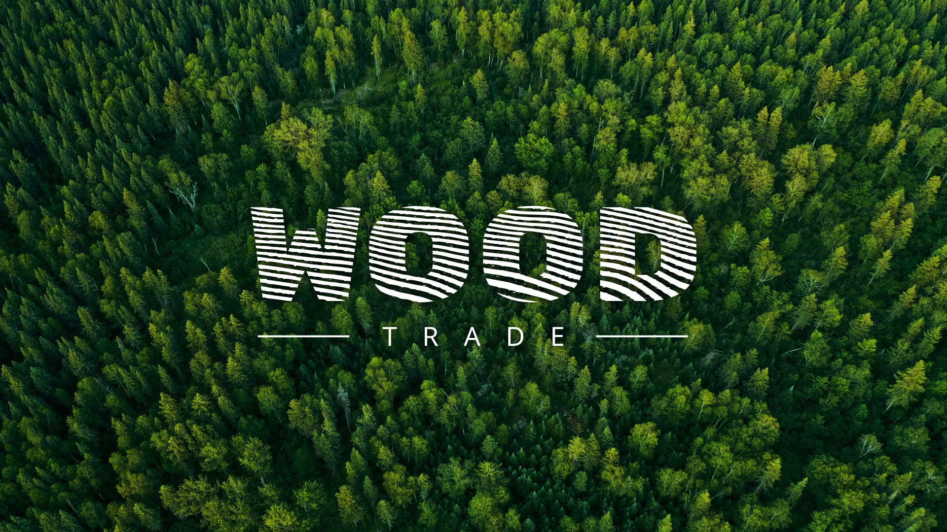 Разработка интернет-магазина компании «Wood Trade» в Туране